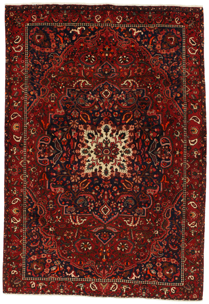 Bakhtiari Perser Teppich 304x207
