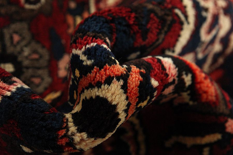 Bakhtiari Perser Teppich 306x208 - Abbildung 6