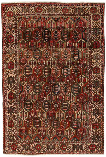 Bakhtiari - Garden Perser Teppich 305x205