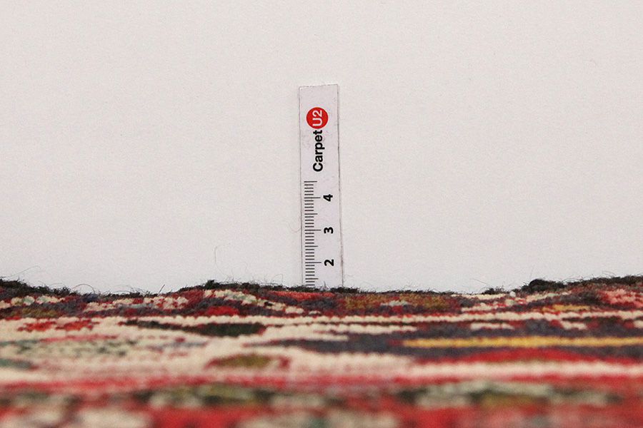 Bakhtiari - Garden Perser Teppich 307x170 - Abbildung 7
