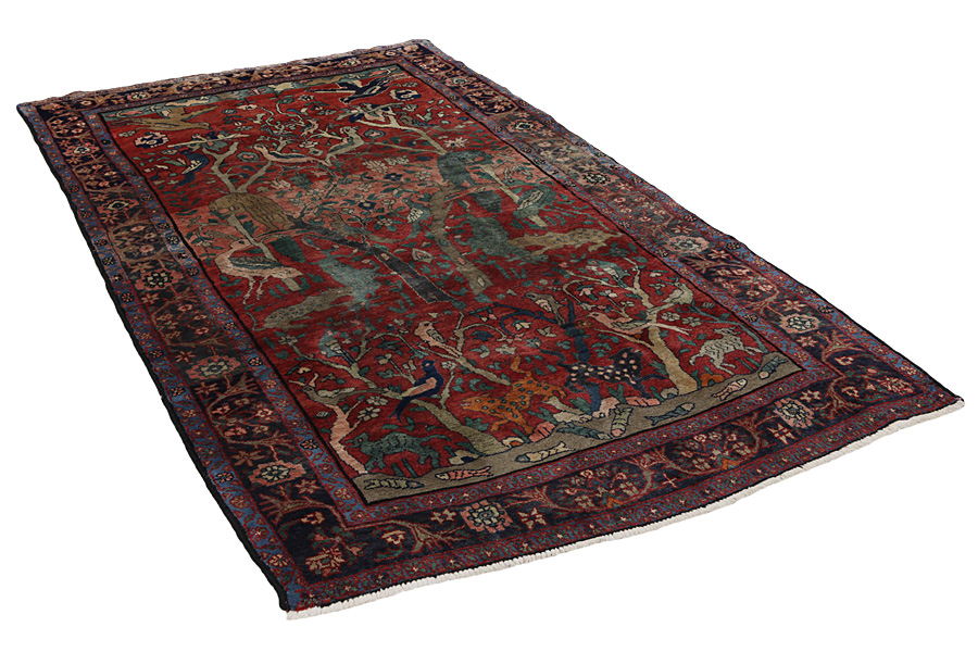 Sarough Perser Teppich 288x151 - Abbildung 1