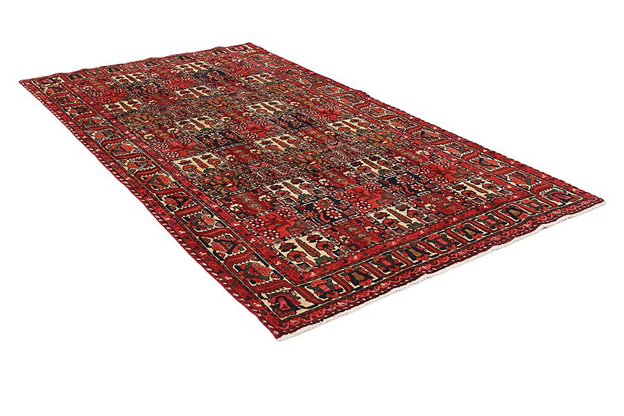 Bakhtiari - Garden Perser Teppich 305x167 - Abbildung 1