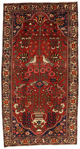 Teppich Jozan Sarouk 310x164
