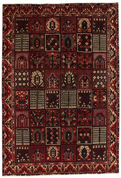 Teppich Bakhtiari Garden 310x210