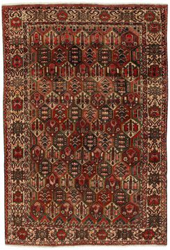 Teppich Bakhtiari Garden 305x205