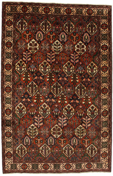 Teppich Bakhtiari Garden 317x206