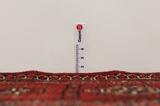Buchara - Turkaman Perser Teppich 190x140 - Abbildung 8