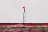 Senneh - Kurdi Perser Teppich 323x205 - Abbildung 8