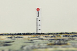 Keshan Perser Teppich 377x235 - Abbildung 8