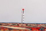 Sultanabad - Sarough Perser Teppich 323x222 - Abbildung 8