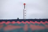 Kelim - Senneh 320x162 - Abbildung 8