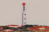 Jozan - Sarough Perser Teppich 243x152 - Abbildung 8