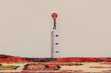 Lilian - Sarough Perser Teppich 275x151 - Abbildung 8