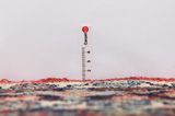 Hosseinabad - Hamadan Perser Teppich 282x115 - Abbildung 8