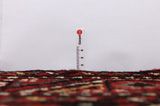 Hosseinabad - Hamadan Perser Teppich 305x110 - Abbildung 8