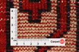 Lori - Gabbeh Perser Teppich 275x188 - Abbildung 4