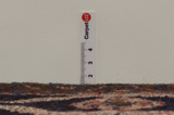 Sarough - Farahan Perser Teppich 238x156 - Abbildung 8