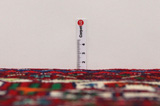 Bidjar - Kurdi Perser Teppich 317x211 - Abbildung 8